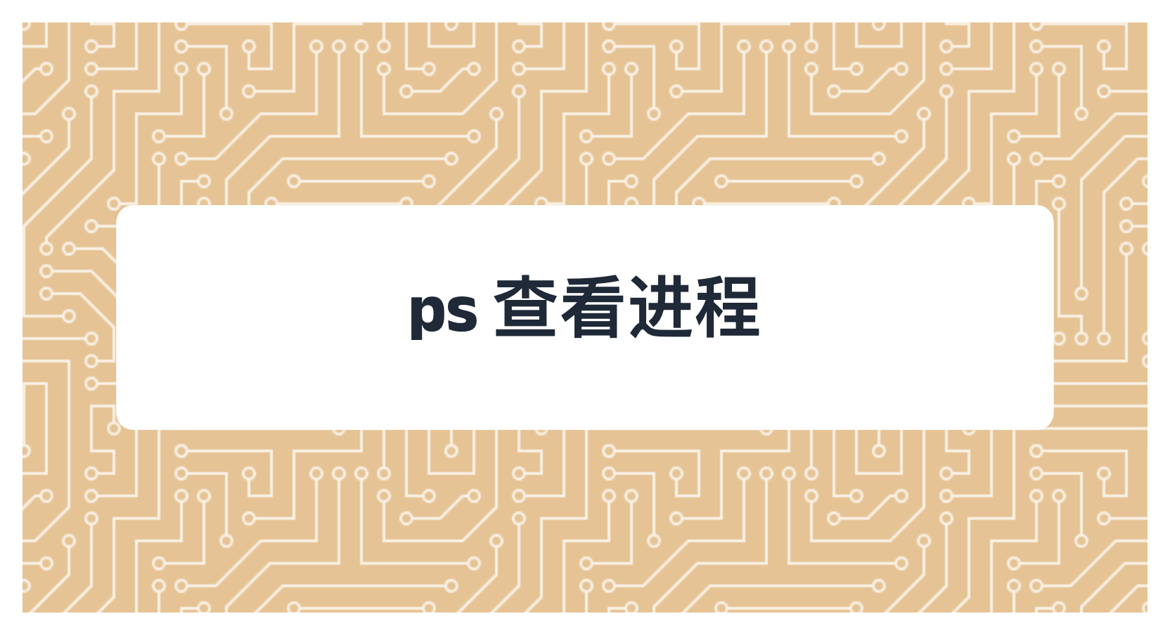 ps 查看进程