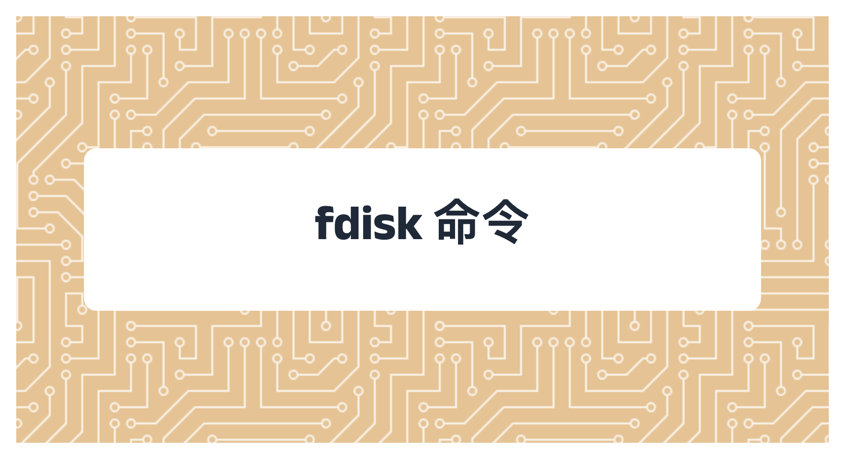 fdisk 命令