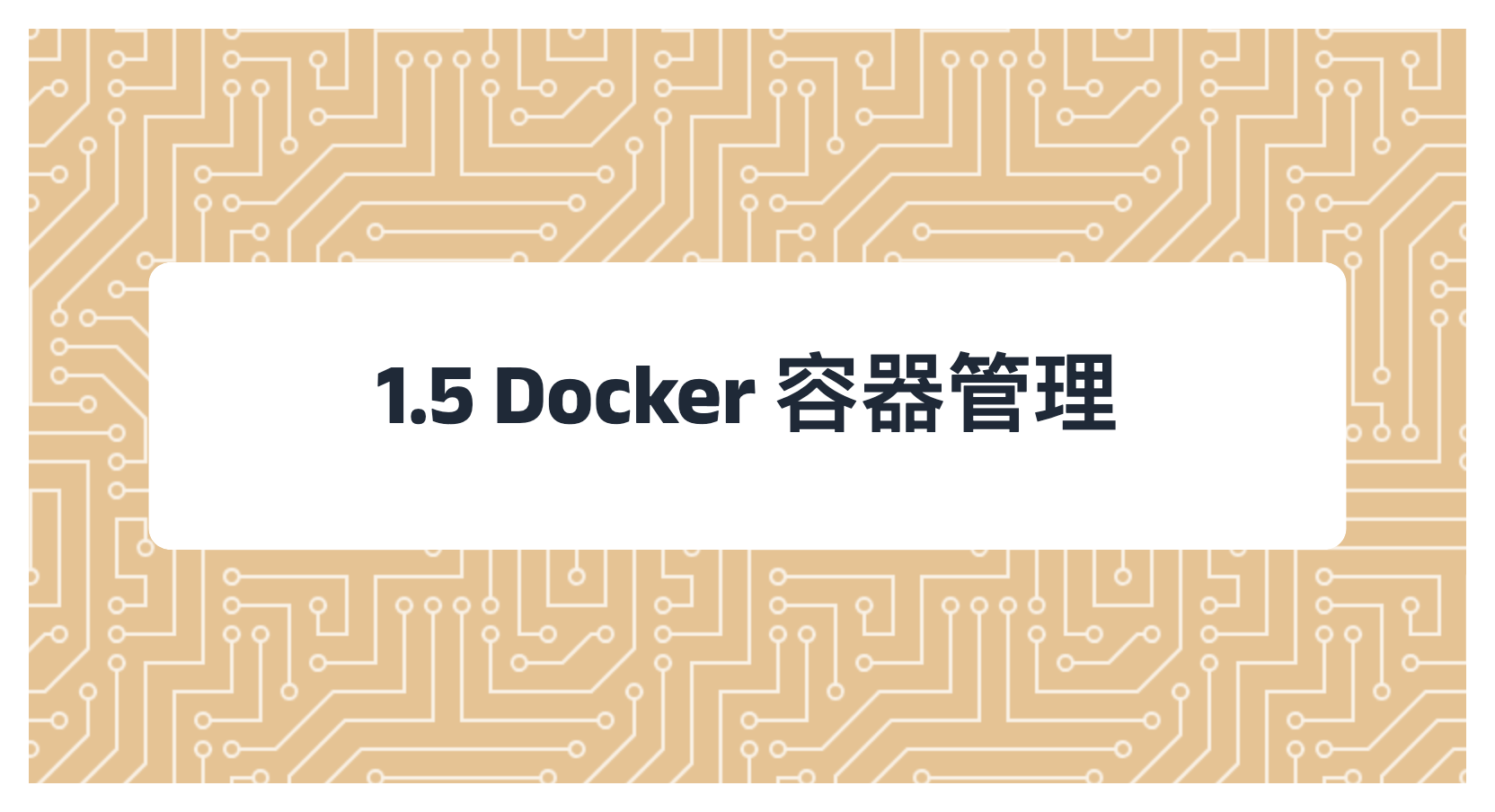 1.5 Docker 容器管理