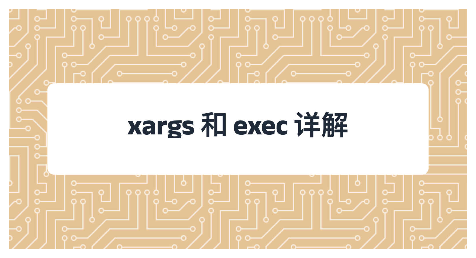 xargs 和 exec 详解