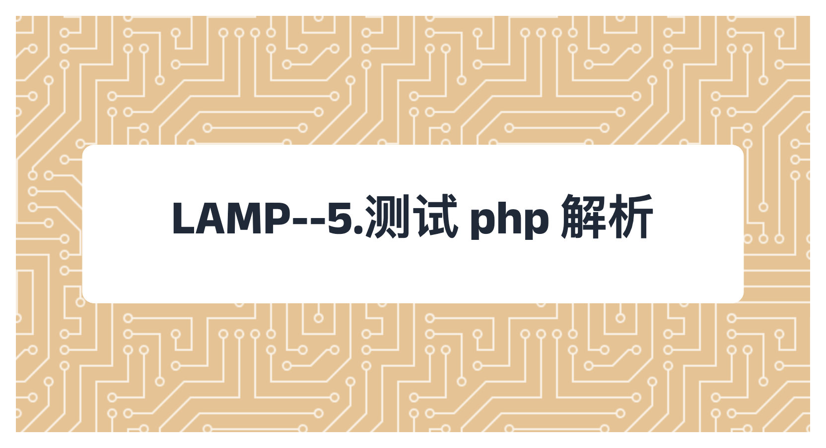 LAMP--5.测试 php 解析