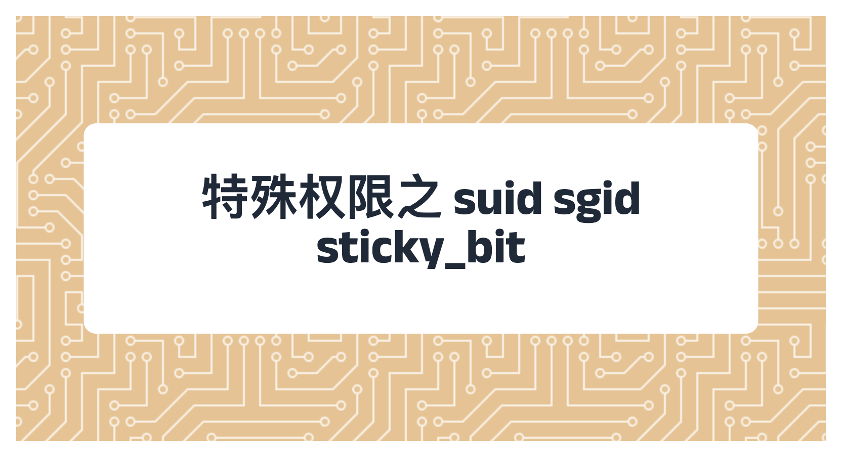 特殊权限之 suid sgid sticky_bit
