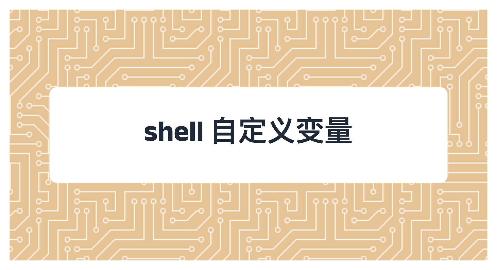 shell 自定义变量