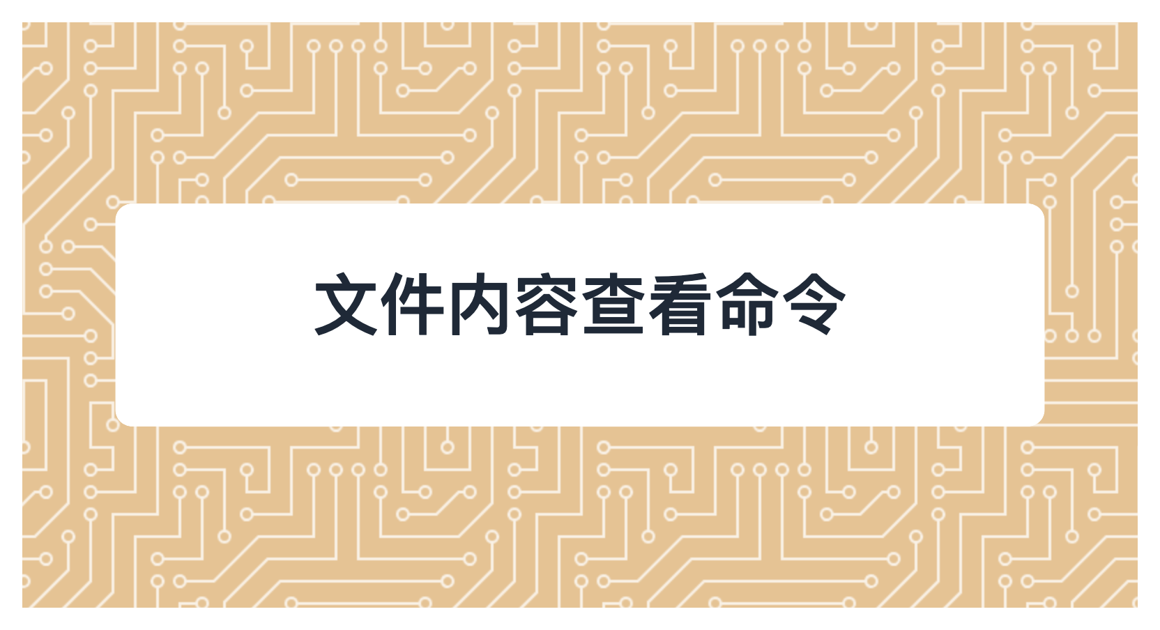 文件内容查看命令