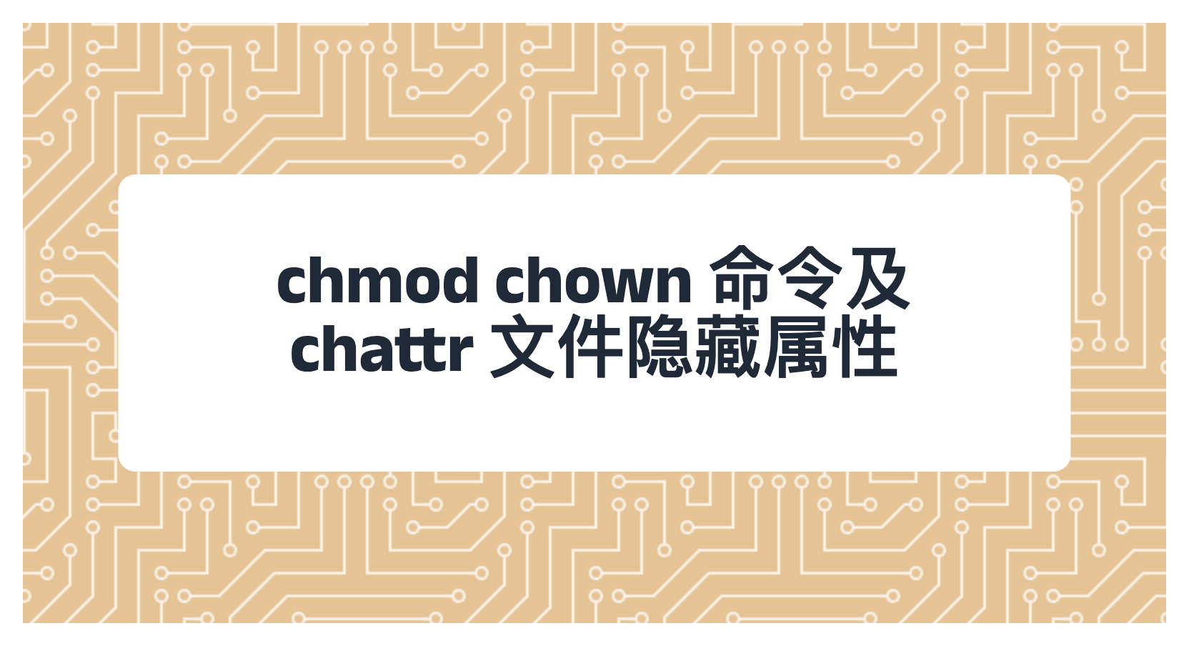 chmod chown 命令及 chattr 文件隐藏属性