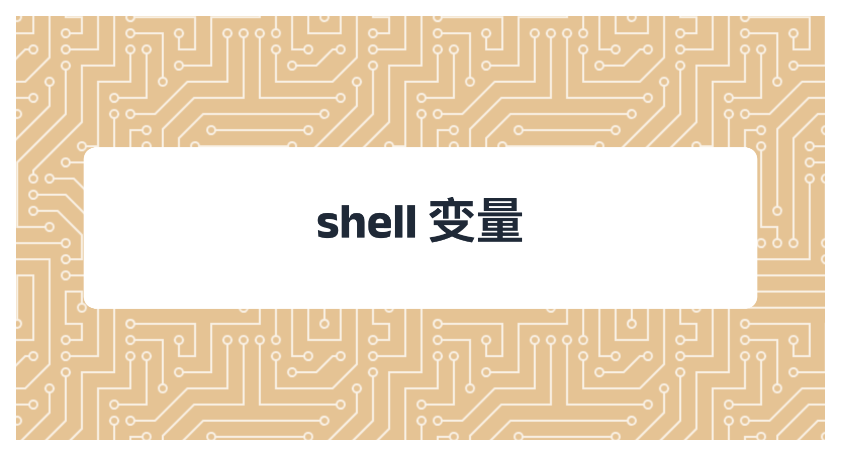 shell 变量