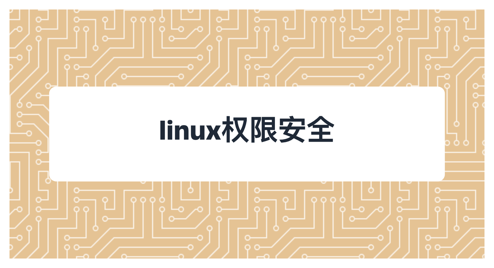 linux权限安全