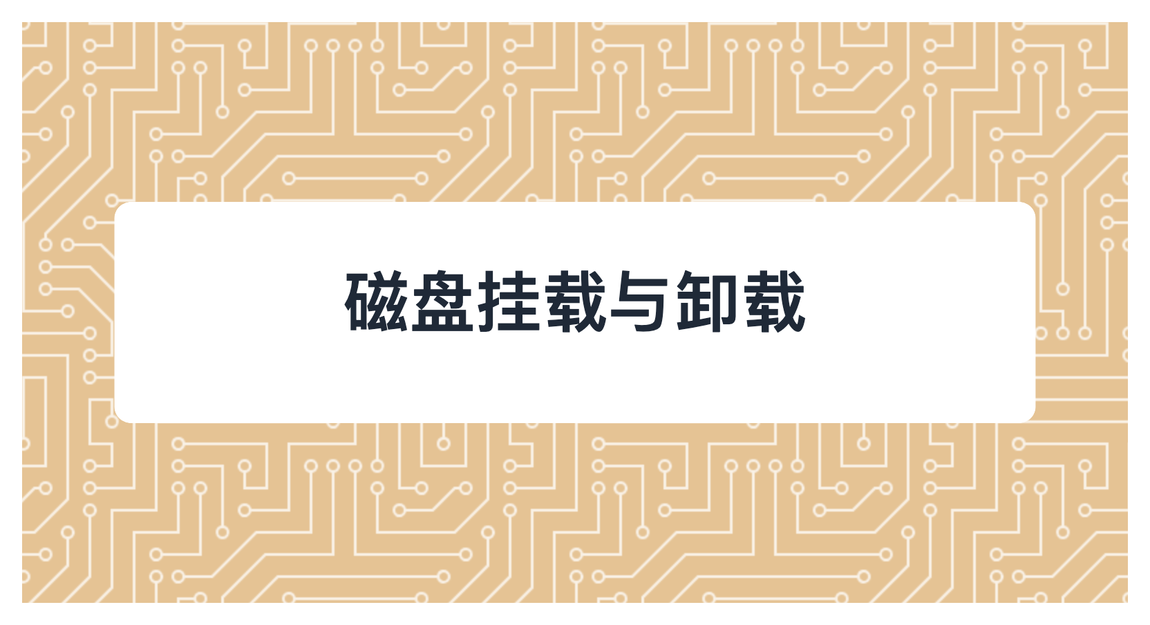 磁盘挂载与卸载