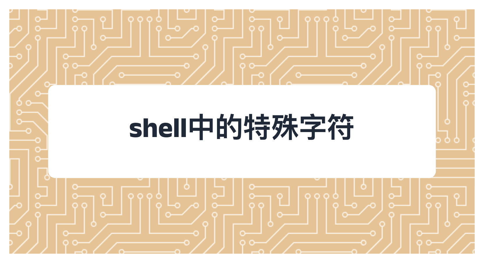 shell中的特殊字符