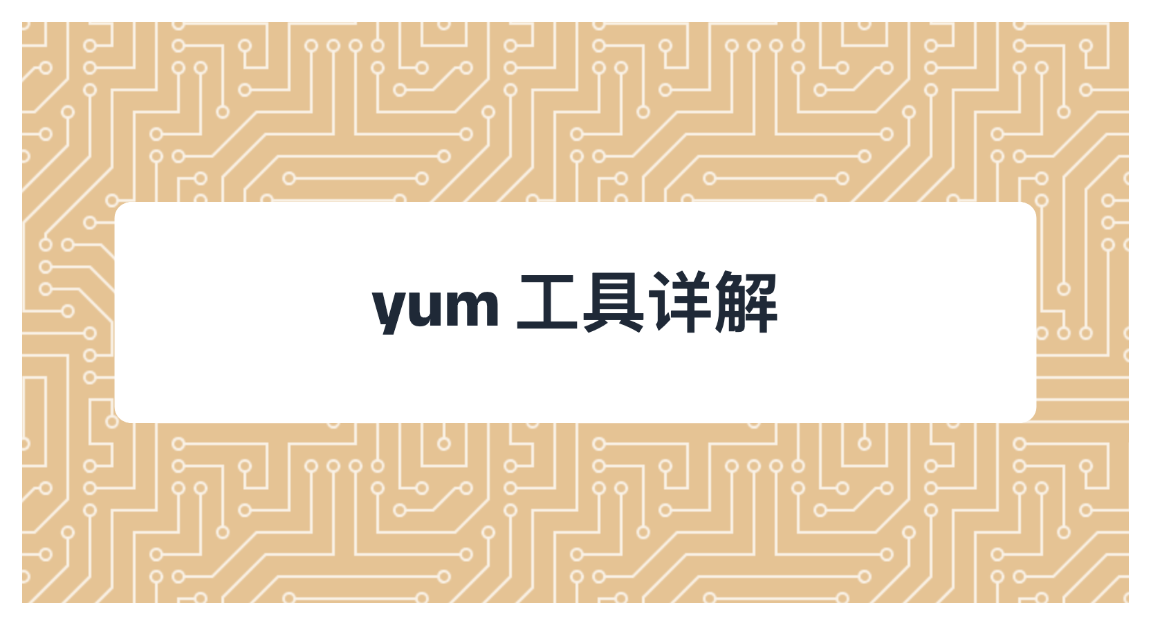yum 工具详解