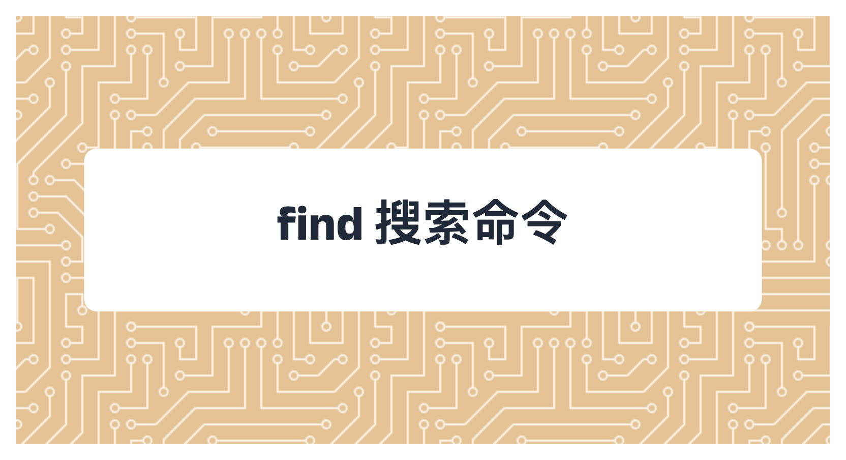 find 搜索命令