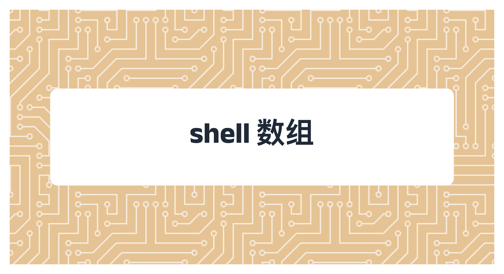 shell 数组