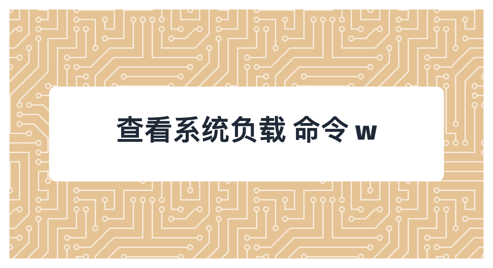 查看系统负载 命令 w