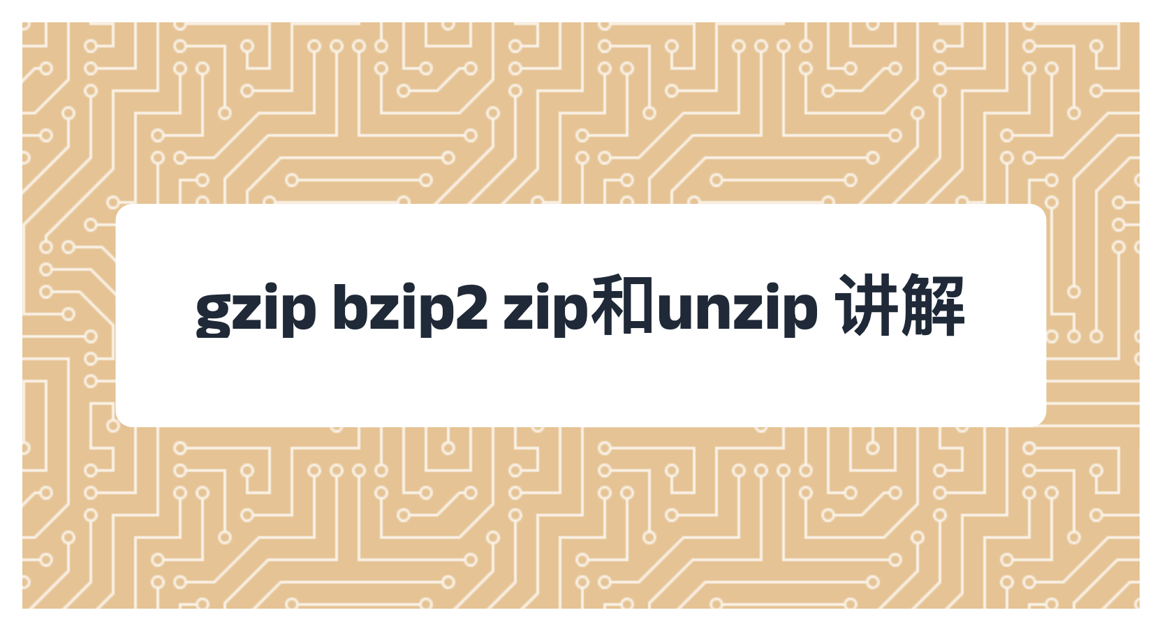 gzip bzip2 zip和unzip 讲解