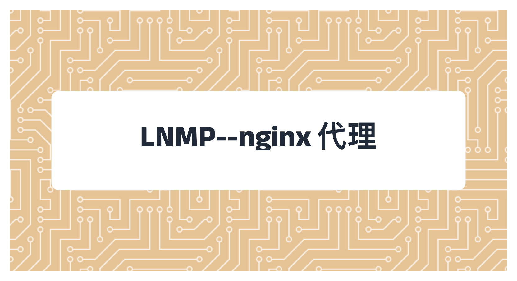 LNMP--nginx 代理