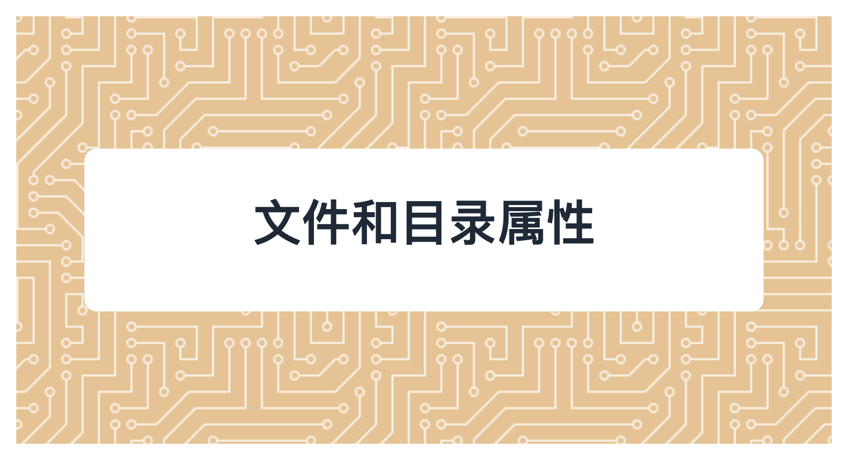 文件和目录属性