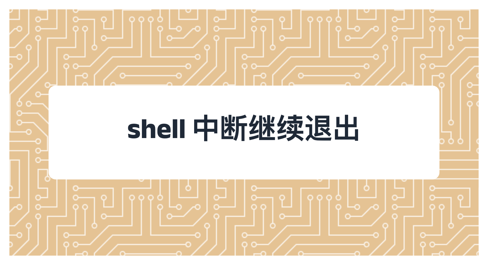 shell 中断继续退出